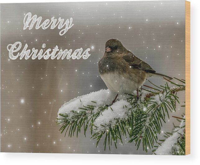 Songbird Wood Print featuring the photograph Winter Bird #2 by Cathy Kovarik