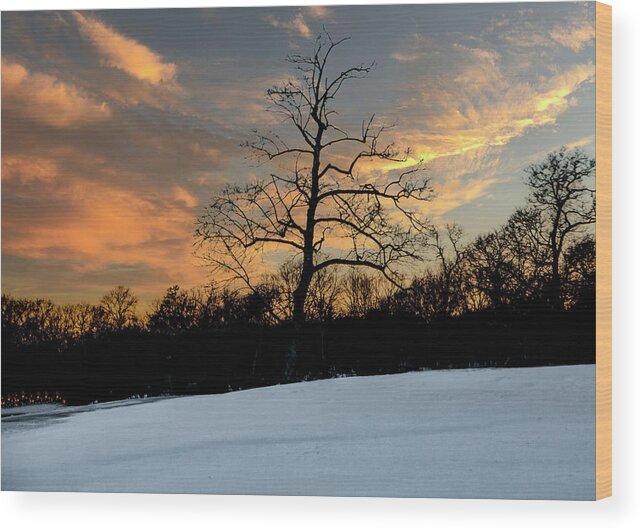Landscape Wood Print featuring the photograph Winter Evening #1 by Cathy Kovarik
