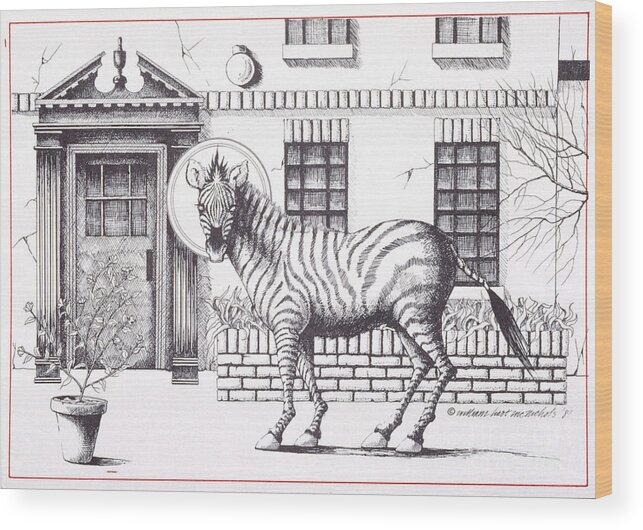 Drawing Wood Print featuring the drawing 16th Street Zebra NYC by William Hart McNichols