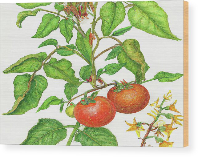 Two Tomatoes Wood Print featuring the digital art 2 Two Tomatoes 2 a by Cathy Anderson