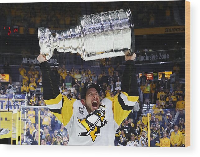 Playoffs Wood Print featuring the photograph 2017 NHL Stanley Cup Final - Game Six #28 by Bruce Bennett