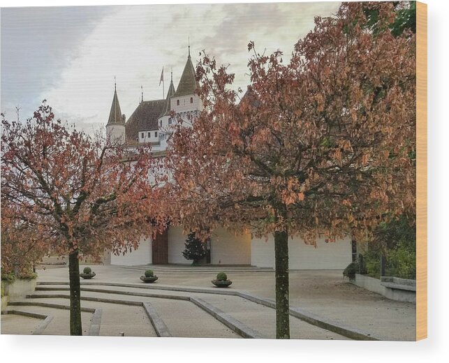 Nyon Wood Print featuring the photograph Famous medieval castle in Nyon, Switzerland #3 by Elenarts - Elena Duvernay photo