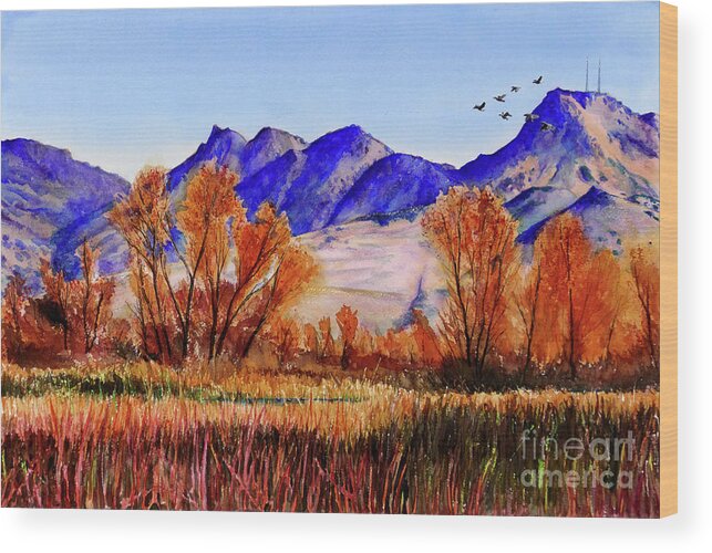 Placer Arts Wood Print featuring the painting #419 Colusa NWR #419 by William Lum