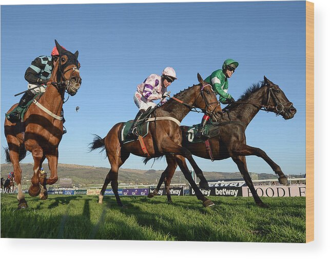 Horse Racing Wood Print featuring the photograph Cheltenham Racing Festival - Ladies Day #5 by Seb Daly