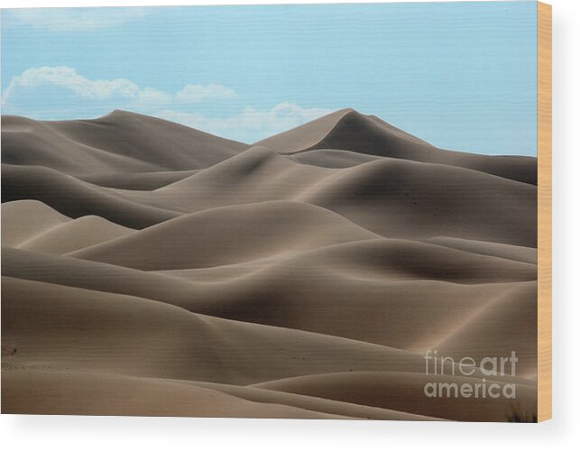 Gobi Desert Wood Print featuring the photograph Gobi desert #5 by Elbegzaya Lkhagvasuren
