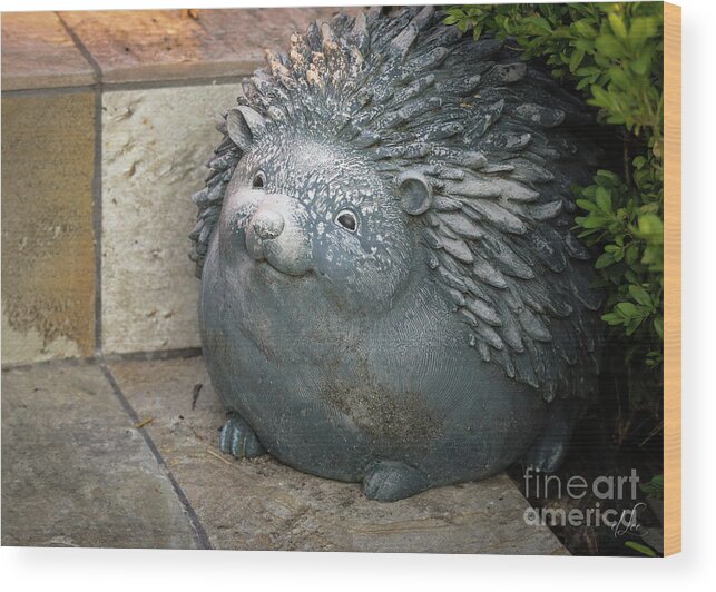 Welcoming Wood Print featuring the photograph A Welcoming Hedgehog by D Lee