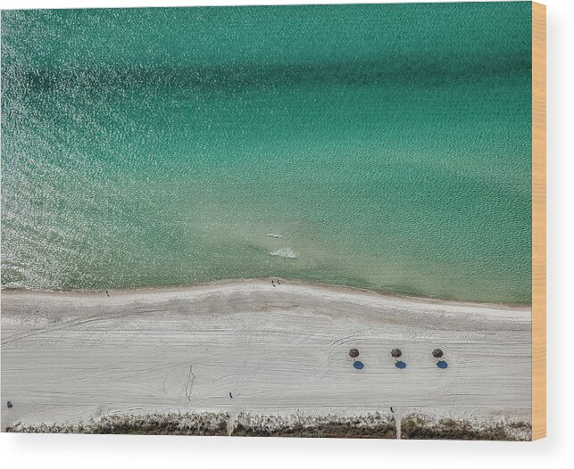 Florida Wood Print featuring the photograph Above the Beach by Phil Marty
