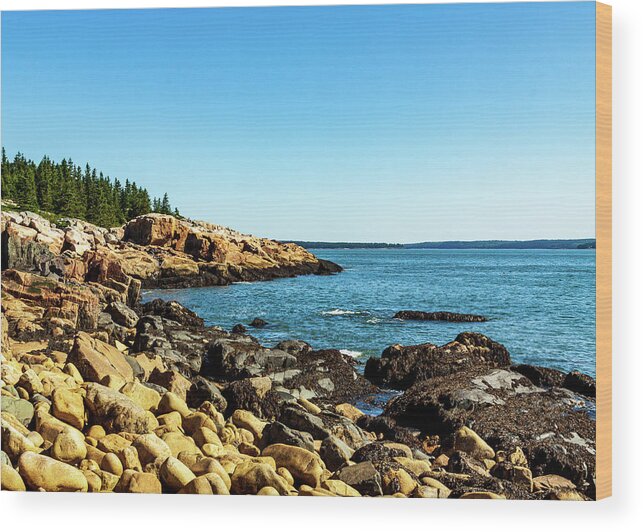 Acadia Wood Print featuring the photograph Acadia National Park Coast by Amelia Pearn