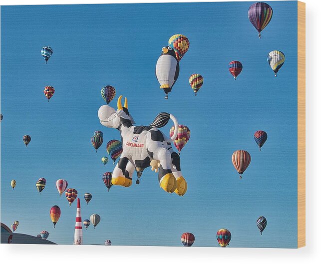 Hot Air Balloons Wood Print featuring the photograph Airabelle the Cow AIBF 5 by Segura Shaw Photography