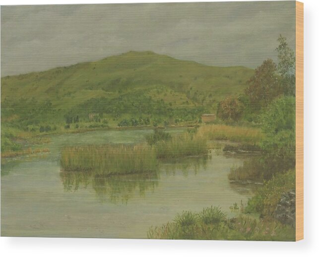 Crete Wood Print featuring the painting Almyros Lake by David Capon