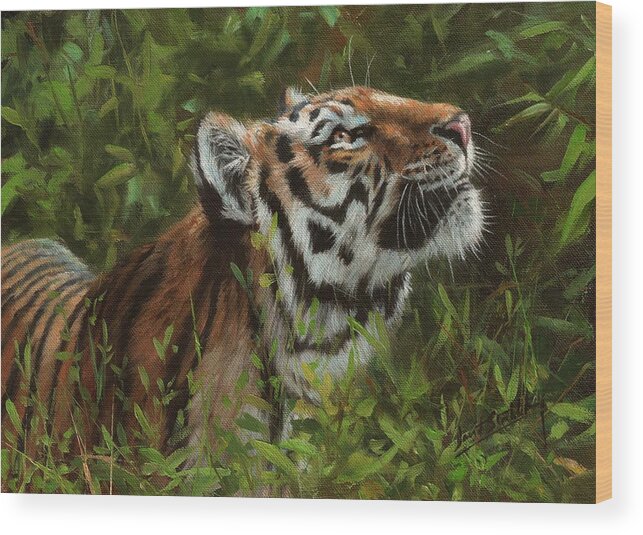 Tiger Wood Print featuring the painting Amur Tiger 111 by David Stribbling