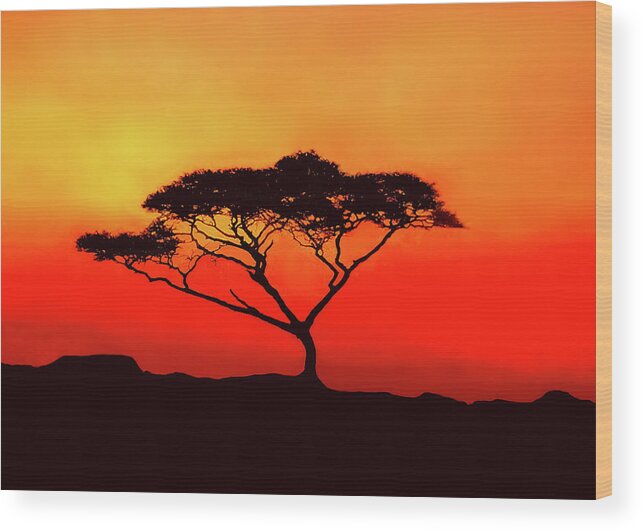 Africa Wood Print featuring the photograph An Acacia Tree in the Sunset by Mitchell R Grosky