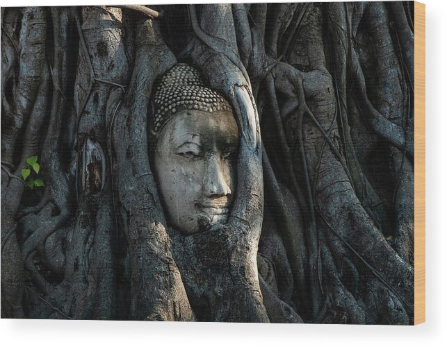 Buddha Wood Print featuring the photograph The Fallen Kingdom - Buddha Statue, Wat Mahathat, Thailand by Earth And Spirit