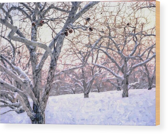 Apple Wood Print featuring the photograph Apples in Winter by Wayne King
