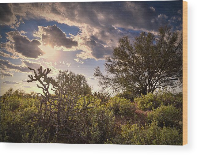 Arizona Wood Print featuring the photograph Arizona Sunlight by Chance Kafka