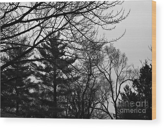 Landscape Wood Print featuring the photograph Authentic Expression - Black and White by Frank J Casella