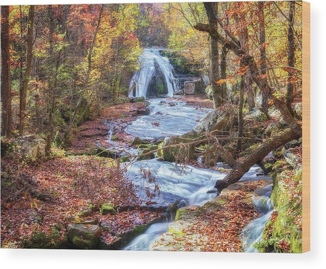 Roaring Run Wood Print featuring the photograph Autumn at Roaring Run Falls by Susan Rissi Tregoning