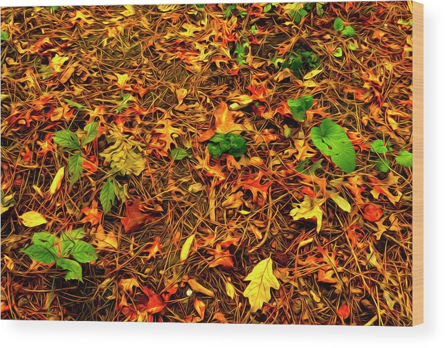 Autumn Colors Wood Print featuring the photograph Autumn Colors on the Forest Floor by Sandra J's
