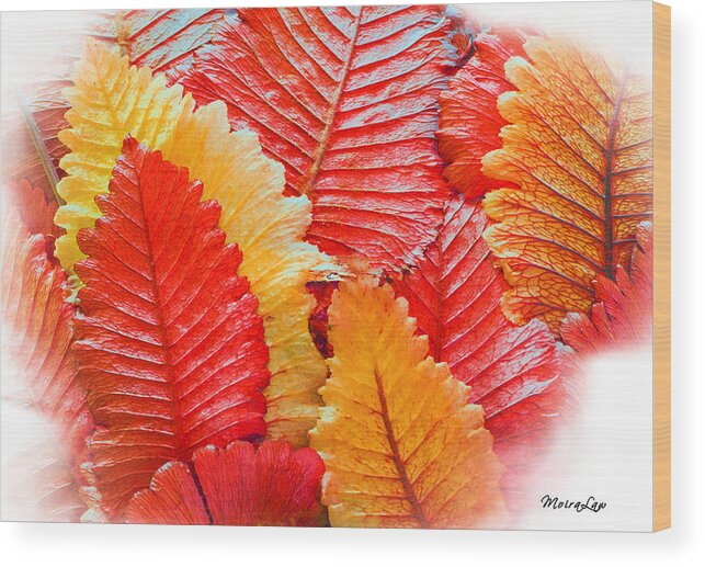 Autumn Wood Print featuring the mixed media Autumn Colours by Moira Law
