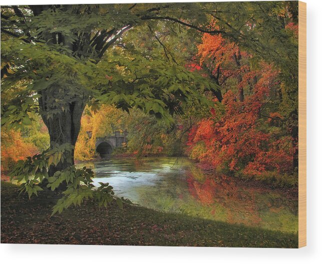 Autumn Wood Print featuring the photograph Autumn Reverie by Jessica Jenney