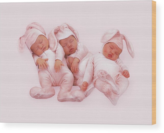 Bunnies Wood Print featuring the photograph Baby Bunnies #5 by Anne Geddes