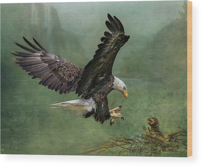 Eagle Wood Print featuring the photograph Bald Eagle Landing by Patti Deters