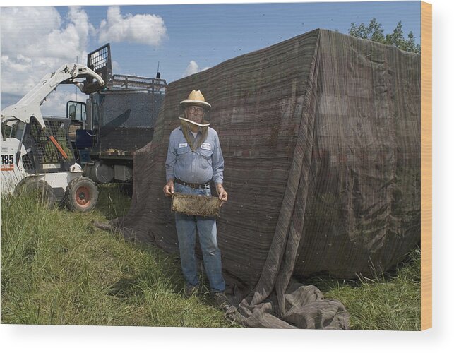 Protective Suit Wood Print featuring the photograph Beekeeper collecting honey from hive by Kate Kunath