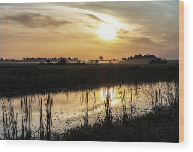 Big Cypress National Preserve Wood Print featuring the photograph Big Cypress Sunrise by Rudy Wilms