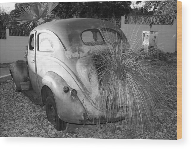 Classic Cars Wood Print featuring the photograph Black and White Austin Antique by Susan Allen