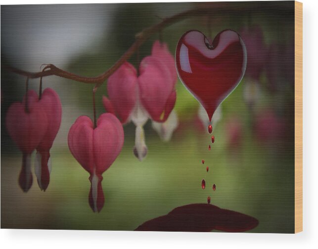 Flower Wood Print featuring the digital art Bleeding Heart by DJ Florek