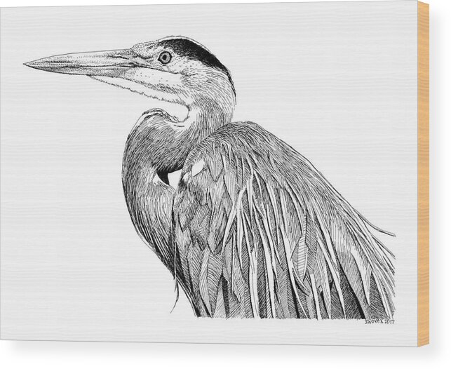 Blue Heron Wood Print featuring the drawing Blue Heron by Scott Woyak