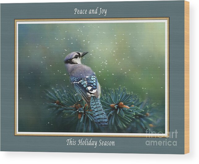 Blue Jay Wood Print featuring the mixed media Blue Jay in Winter Christmas Card by Kathy Kelly