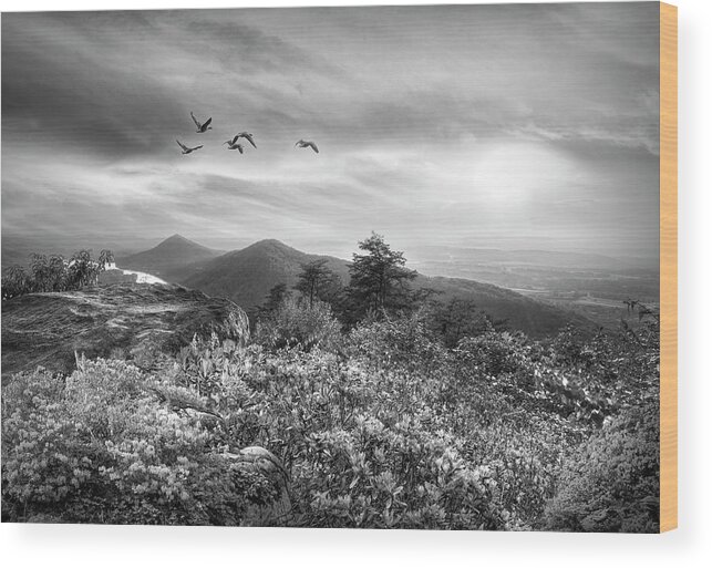 Birds Wood Print featuring the photograph Blue Ridge Smoky Mountains Overlook Sunset Black and White by Debra and Dave Vanderlaan