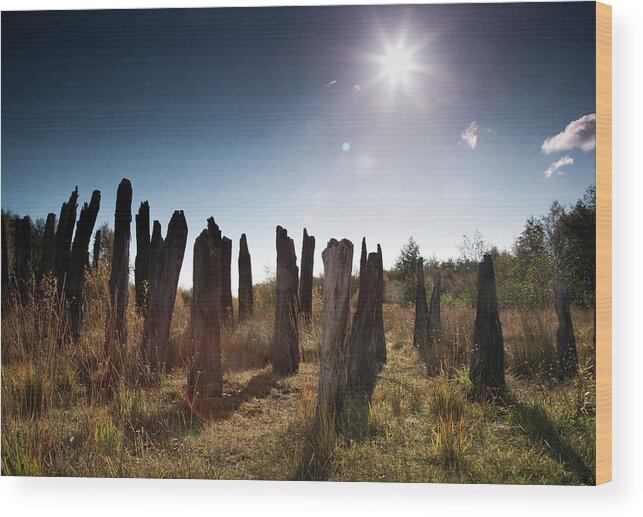  Wood Print featuring the photograph Bog Track by Johan Sietzema by Sublime Ireland