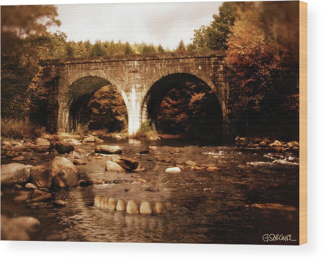 Skull Wood Print featuring the photograph Bridge To Eternity by Gianni Sarcone