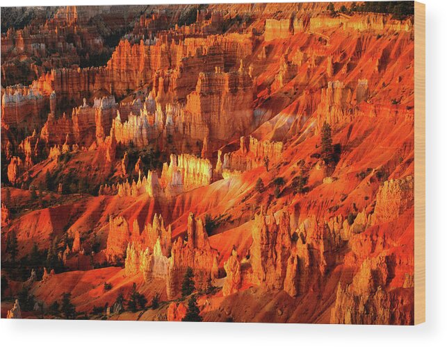 Bryce Canyon Wood Print featuring the photograph Fire Dance - Bryce Canyon National Park. Utah by Earth And Spirit