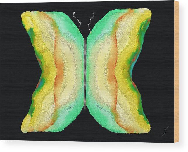 Art Wood Print featuring the digital art Butterfly - Lepidoptera by SC Heffner