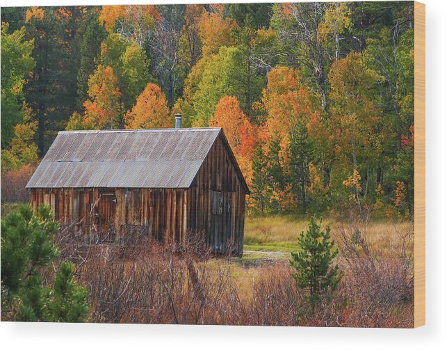 Cabin Wood Print featuring the photograph Cabin in the Woods by Robin Valentine
