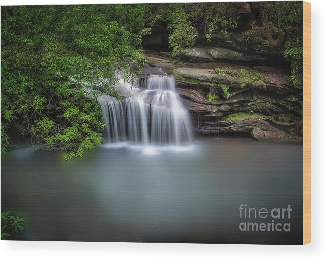 Carrick Creek Wood Print featuring the photograph Carrick Creek Falls by Shelia Hunt