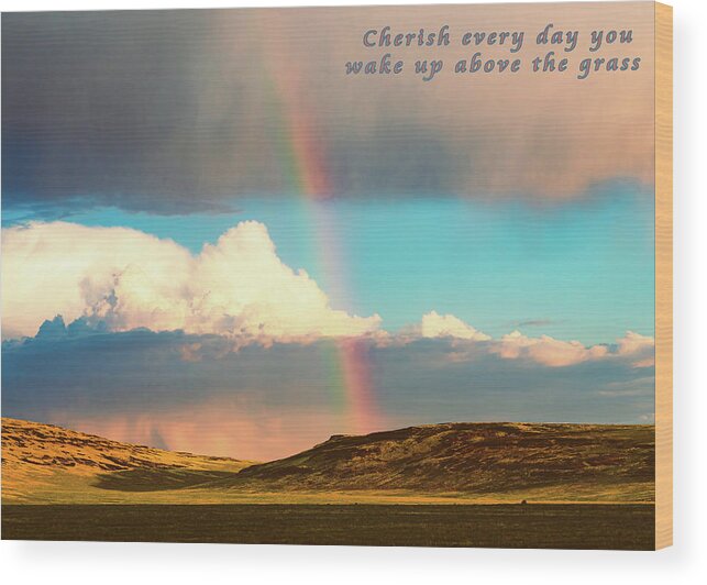 Grassland Wood Print featuring the photograph Cherish Every Day by Mike Lee