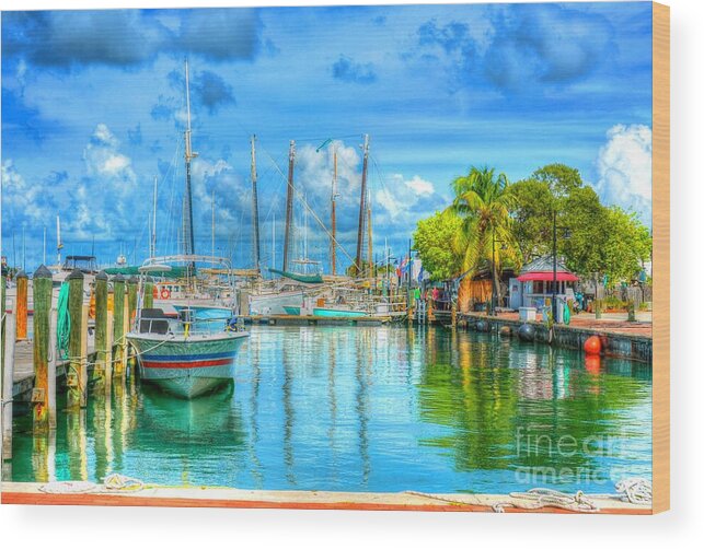 Key West Wood Print featuring the photograph Chill in Key West by Debbi Granruth