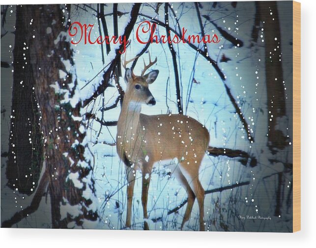 Buck Wood Print featuring the photograph Christmas in the Woods by Mary Walchuck