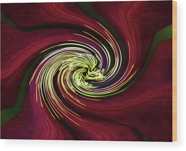 Abstract Wood Print featuring the photograph Claret Red Swirl Clematis by Debbie Oppermann