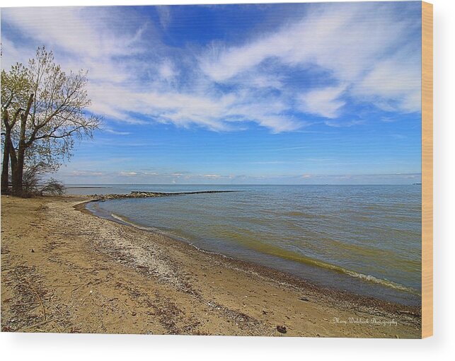 Lake Erie Wood Print featuring the photograph Coastal Ohio Series 2 by Mary Walchuck