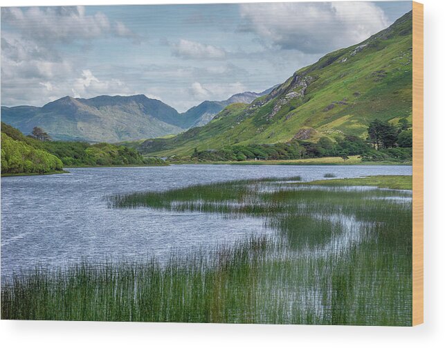 Ireland Wood Print featuring the photograph Connemara Lake by Karen Smale