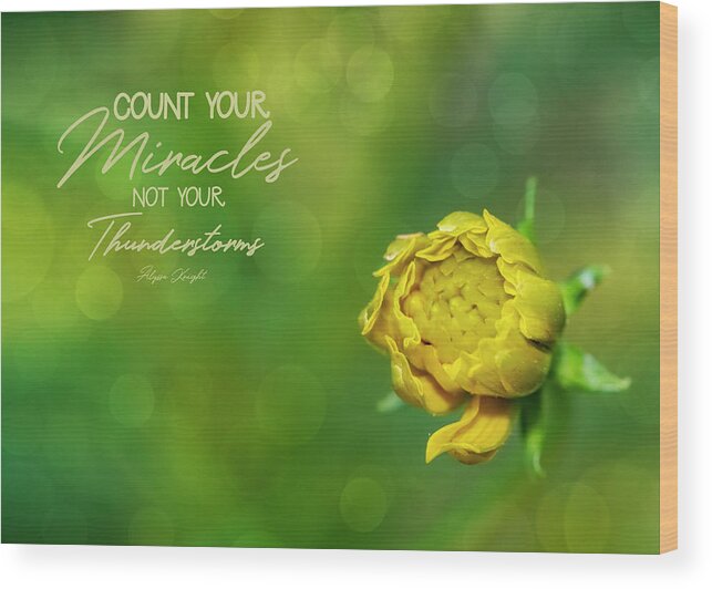 Flower Wood Print featuring the photograph Count Your Miracles by Cathy Kovarik