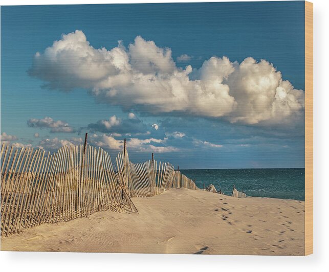 Beach Wood Print featuring the photograph Crooked Fence by Cathy Kovarik