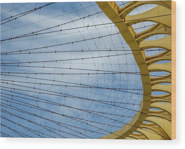 New York State Pavilion Wood Print featuring the photograph Daisy Abstract by Cate Franklyn