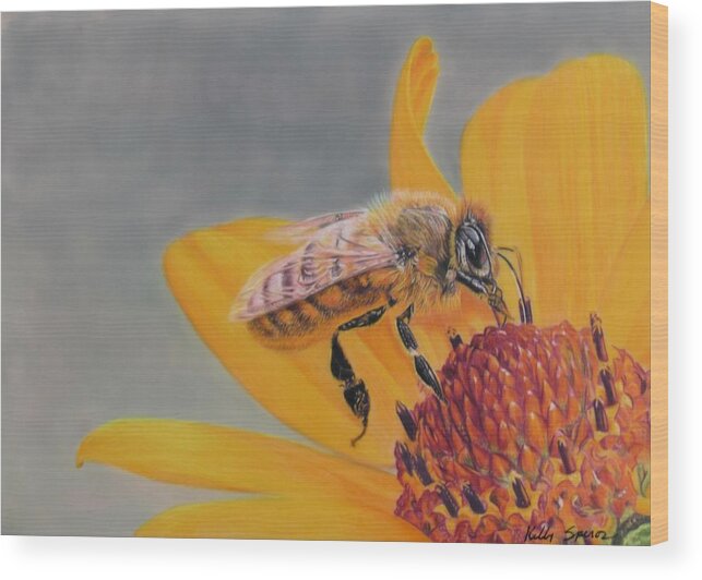 Bee Wood Print featuring the drawing Daisy Delight by Kelly Speros