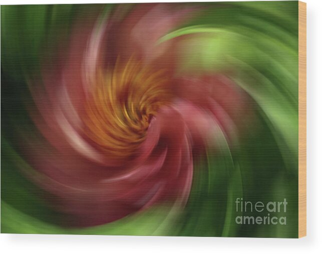Dance Of The Flowers 3 Wood Print featuring the photograph Dance of the Flowers 3 by Rachel Cohen